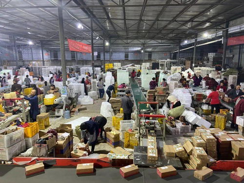 从千人咨询到双十一亮灯 信息咨询服务的科技化赋能