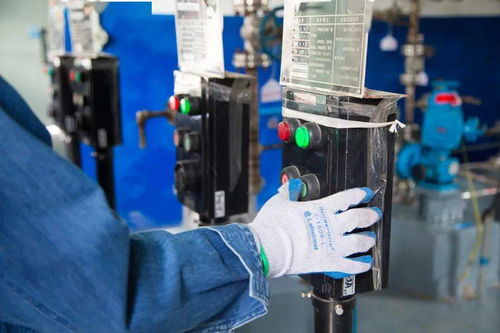 海藻酸尿素试验性生产启动，信息咨询服务同步上线